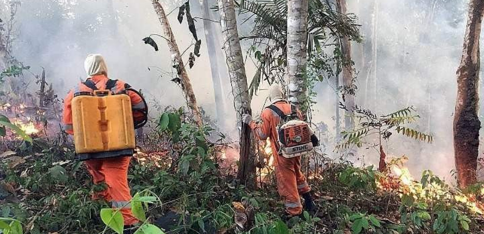 Κομματική αντιπαράθεση ακόμη και για τον Αμαζόνιο...