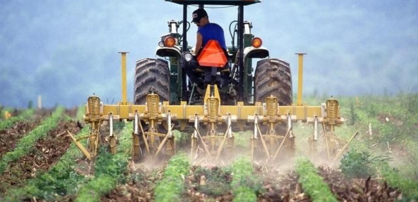 Έβρος: Καταγγελία για παραχωρήσεις δημοσίων εκτάσεων σε μη αγρότες - Αγανάκτηση από τον Αγροτικό Σύλλογο Αλεξανδρούπολης