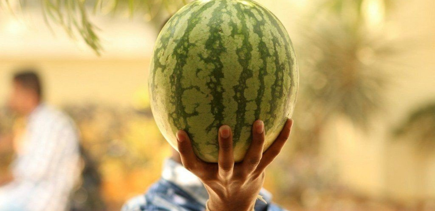Είναι καλό ή... μάπα το καρπούζι;