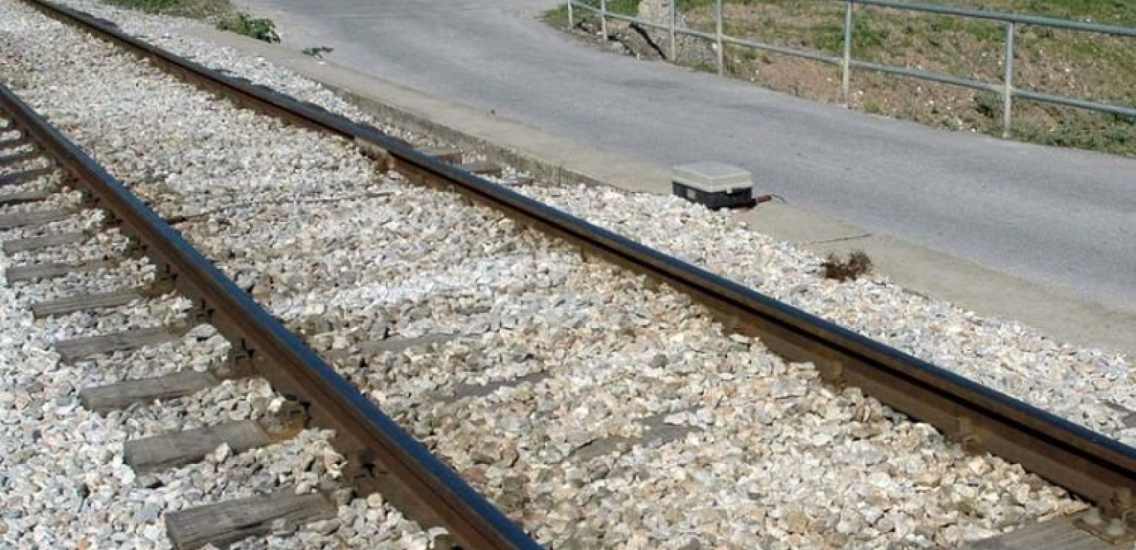 Τρένο συγκρούστηκε με αγριογούρουνο και διαλύθηκε η μηχανή