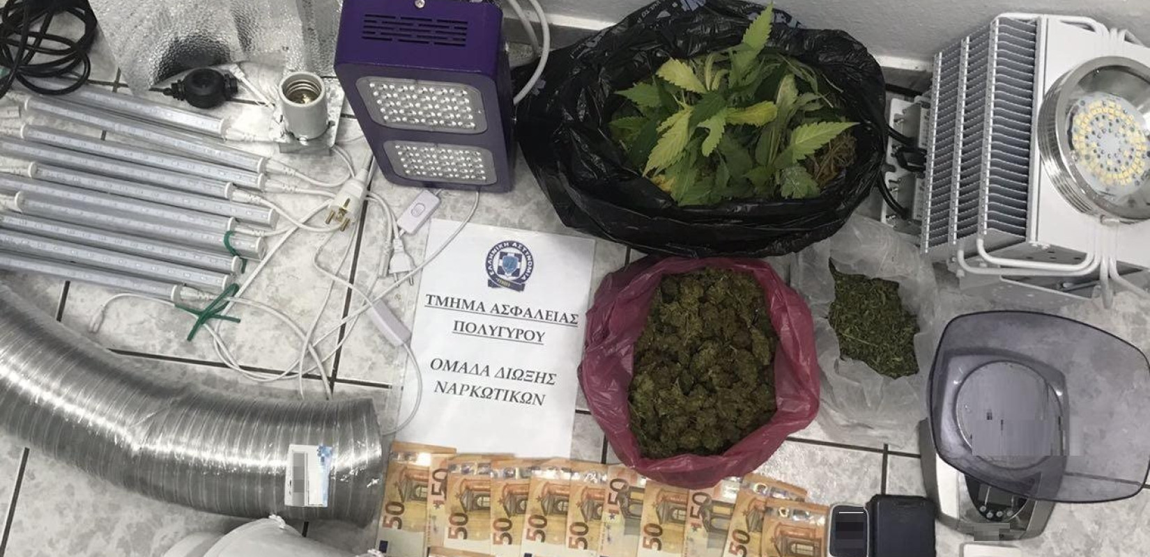 Συνελήφθησαν δύο άτομα για καλλιέργεια κάνναβης στη Χαλκιδική  (φωτο/βίντεο)