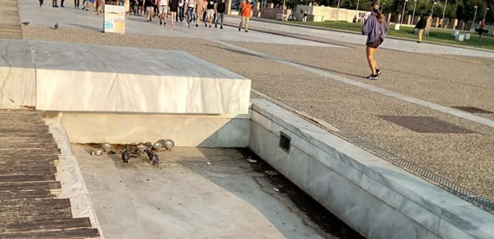 SOS εκπέμπει η Νέα Παραλία Θεσσαλονίκης 