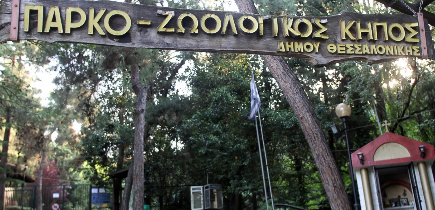 Τα μισά δέντρα του Ζωολογικού Κήπου προσβλήθηκαν από το έντομο "φονιά" 