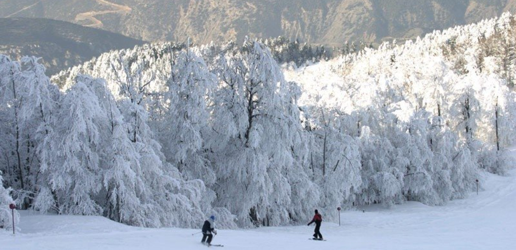 Φωτογραφία αρχείου