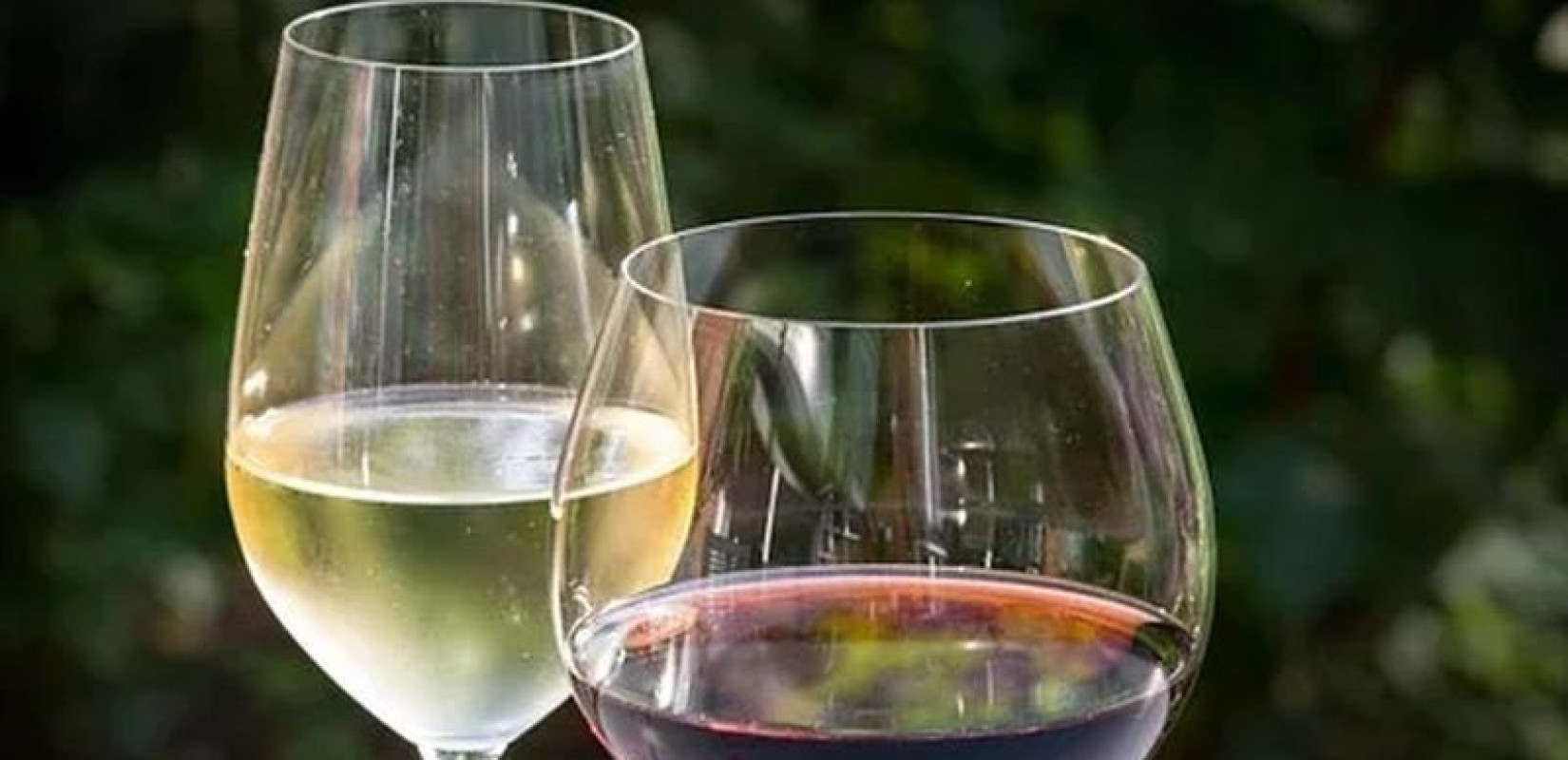 Η μικρή κατανάλωση κρασιού μπορεί να μειώσει τον κίνδυνο καρδιαγγειακής νόσου