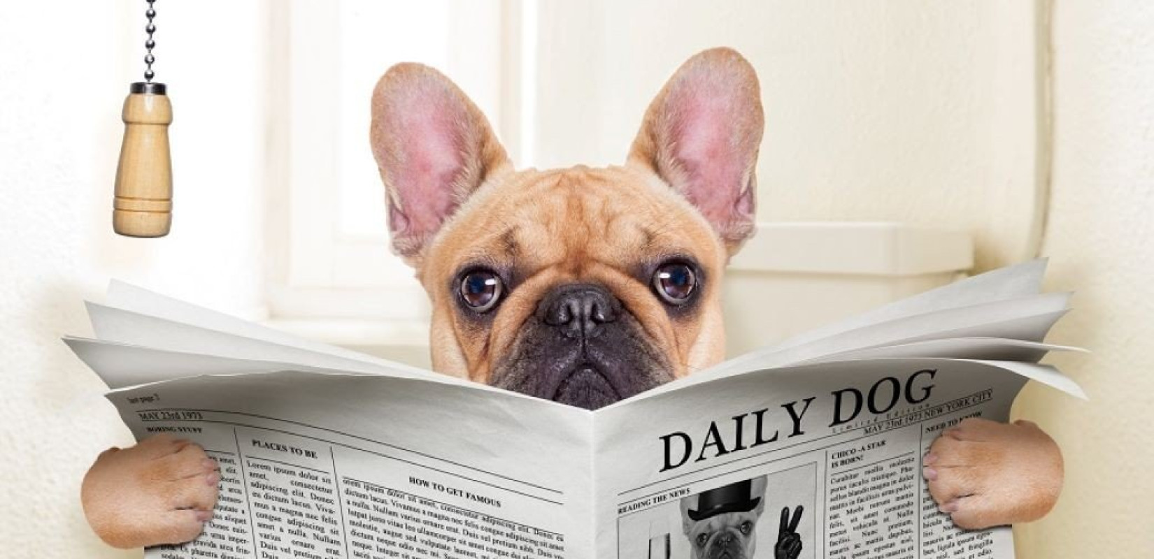 Η δυσκοιλιότητα και οι συνέπειές της