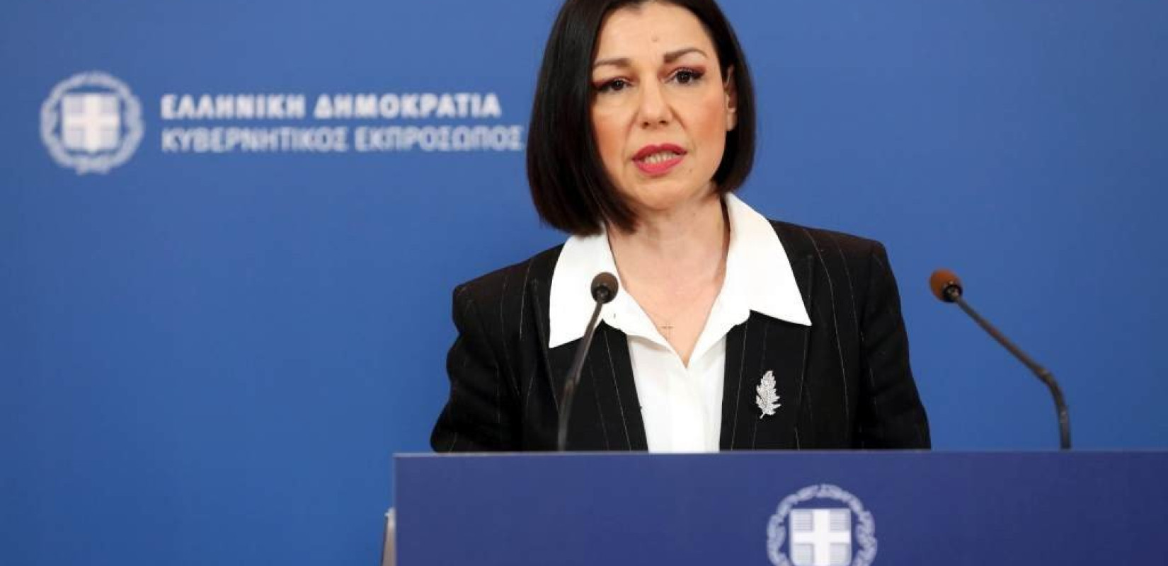 Αμετακίνητη η κυβέρνηση απέναντι στον Κουφοντίνα-«Η Ελλάδα δεν θα γίνει μια τρομοκρατημένη Πολιτεία» τόνισε η Α. Πελώνη (βίντεο)