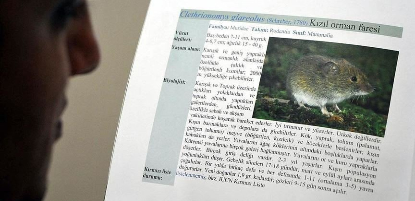 Χανταϊός: Σπέρνουν τον πανικό με "ξεχασμένο" ιό στην Κίνα