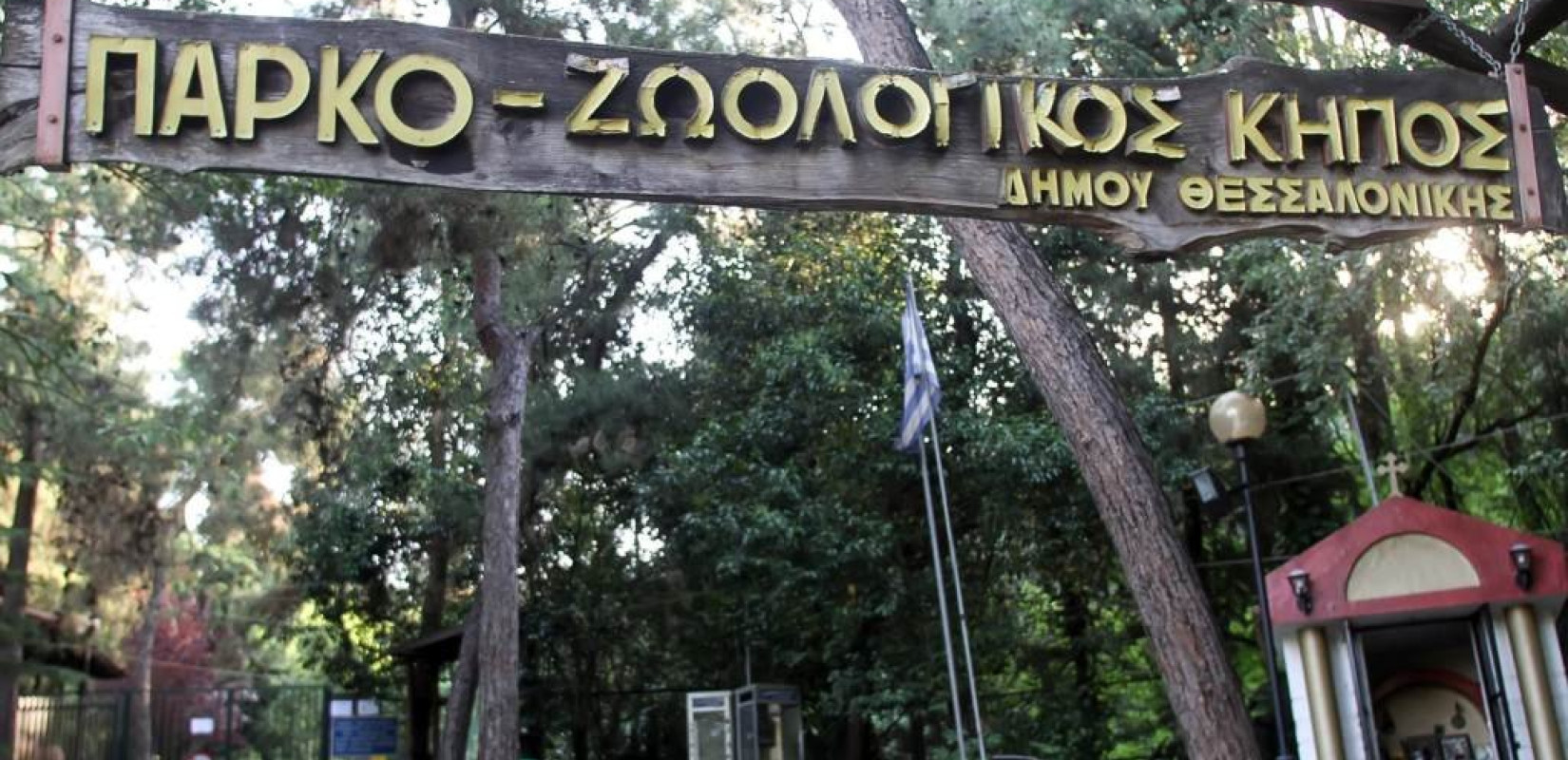 Θεσσαλονίκη: Φύτευση 700 δέντρων στο Ζωολογικό κήπο -Στ. Αγγελούδης: 2.000 φυτεύσεις ως τον Απρίλιο (βίντεο)