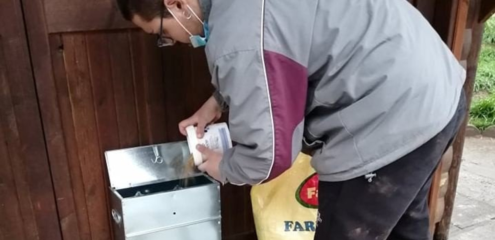 Ο δήμος Νάουσας δημιούργησε ηλεκτρονική εφαρμογή για την σίτιση αδέσποτων 