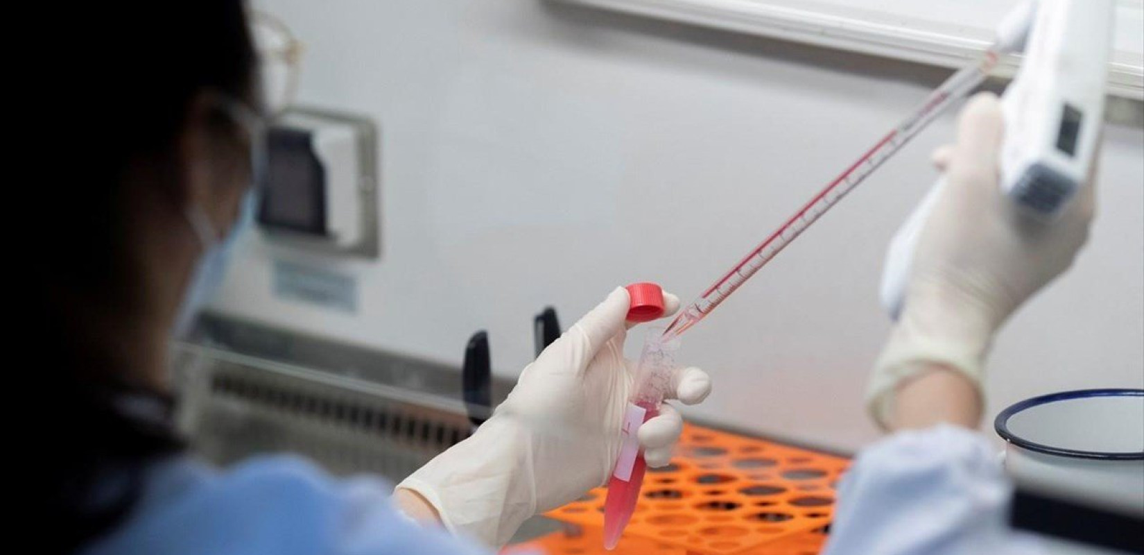 Δύο Έλληνες ανάμεσα στους 313 ερευνητές που χρηματοδοτούνται από το Ευρωπαϊκό Συμβούλιο Έρευνας