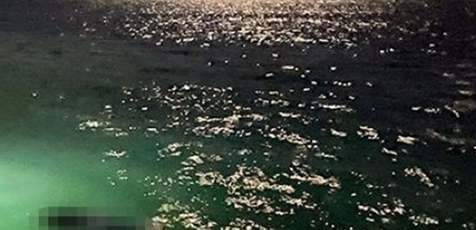 Εντοπίστηκε πτώμα στον Σαρωνικό Κόλπο