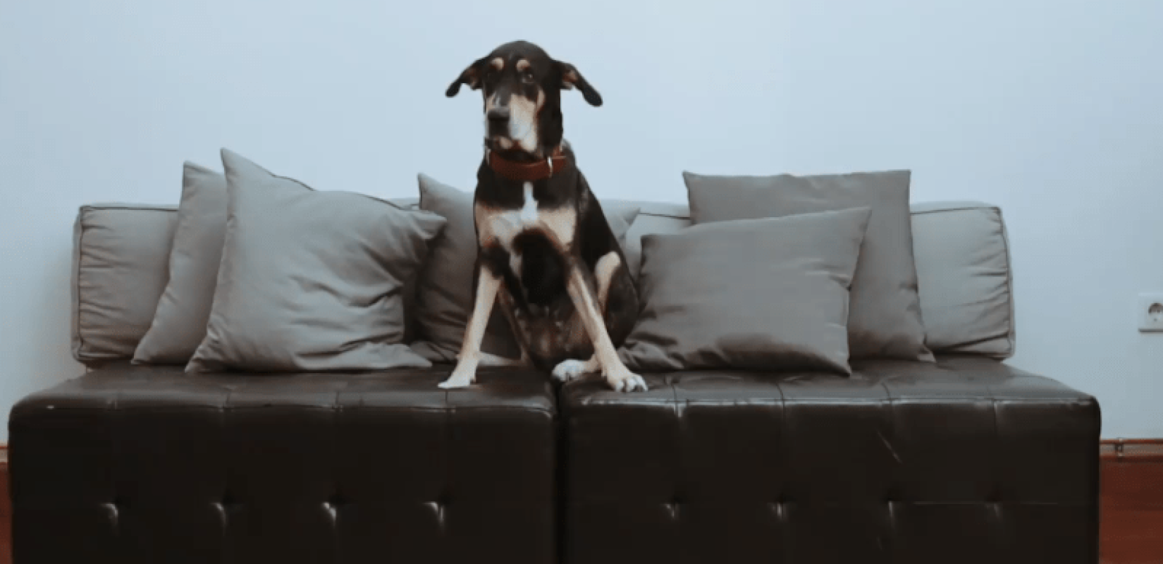 Η νέα καμπάνια του Ηρακλή είναι ένα έπος (video)