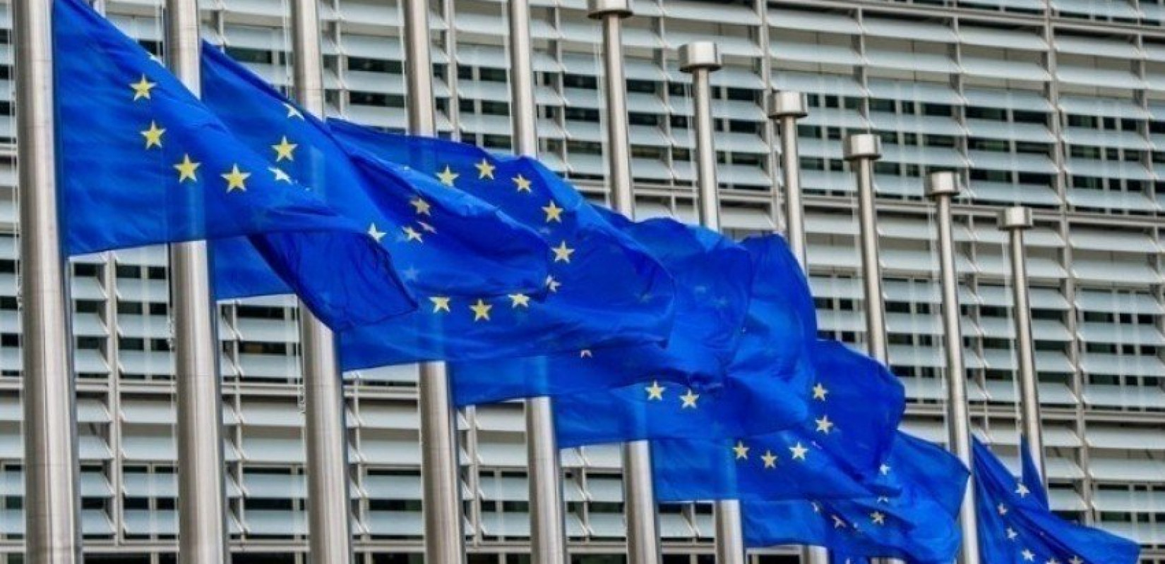 Γερμανία: Τα κριτήρια της Κοπεγχάγης προϋπόθεση για την έναρξη ενταξιακών διαπραγματεύσεων της Ουκρανίας με την ΕΕ