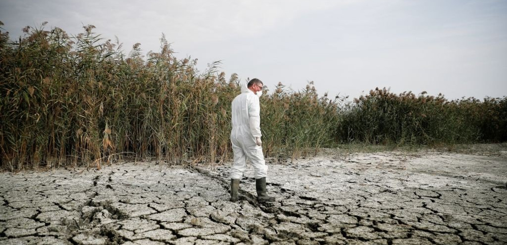 SOS για την Κορώνεια από την Περιφέρεια: Αν δεν γίνουν νέα έργα η λίμνη θα γίνει και πάλι «κρανίου τόπος»
