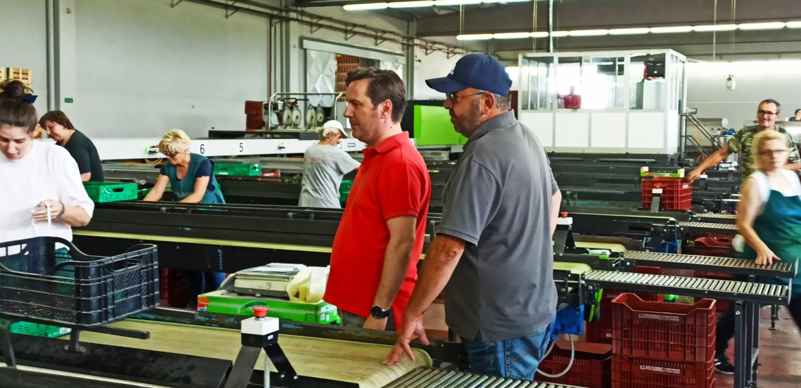 Δήμος Νάουσας: Στηρίζει την παραγωγή και εμπορία φρούτων