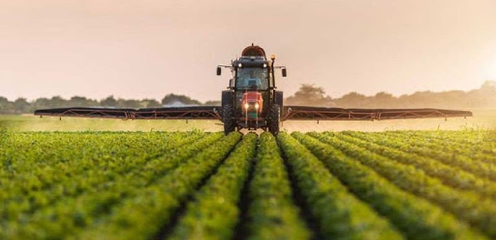 Κραυγή αγωνίας από μελισσοκόμους, αλιείς και νέους αγρότες στη Διακομματική Επιτροπή