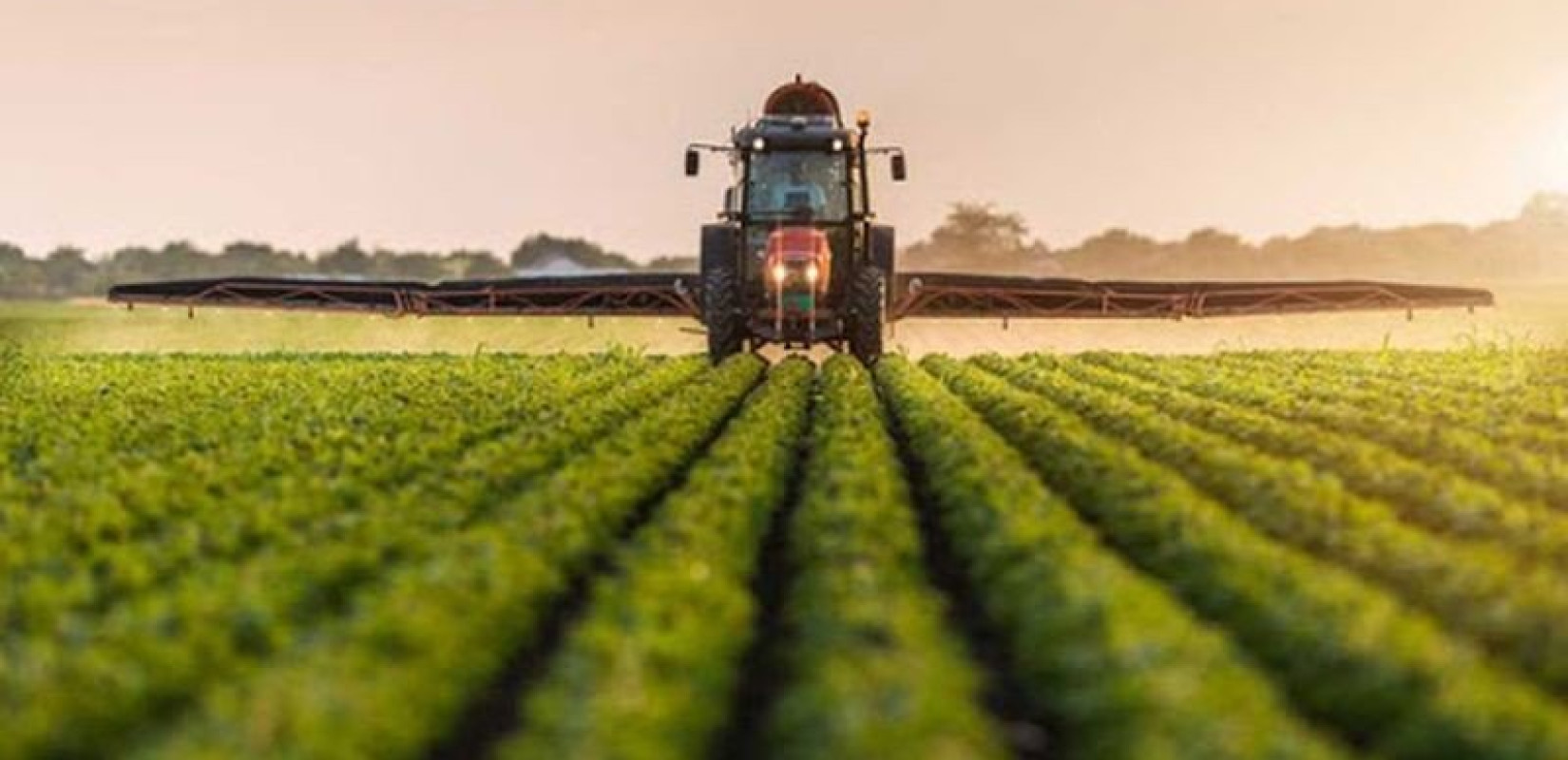 «Καμπανάκι» στη Βουλή για τον πρωτογενή τομέα: Απομείωση ζωικού κεφαλαίου και «ελληνοποιήσεις» στο προσκήνιο