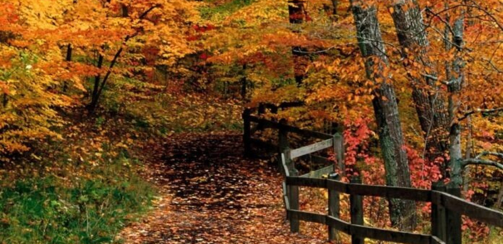 Ανοίγει περιπατητικές και ορειβατικές διαδρομές η περιφέρεια Ανατ. Μακεδονίας-Θράκης