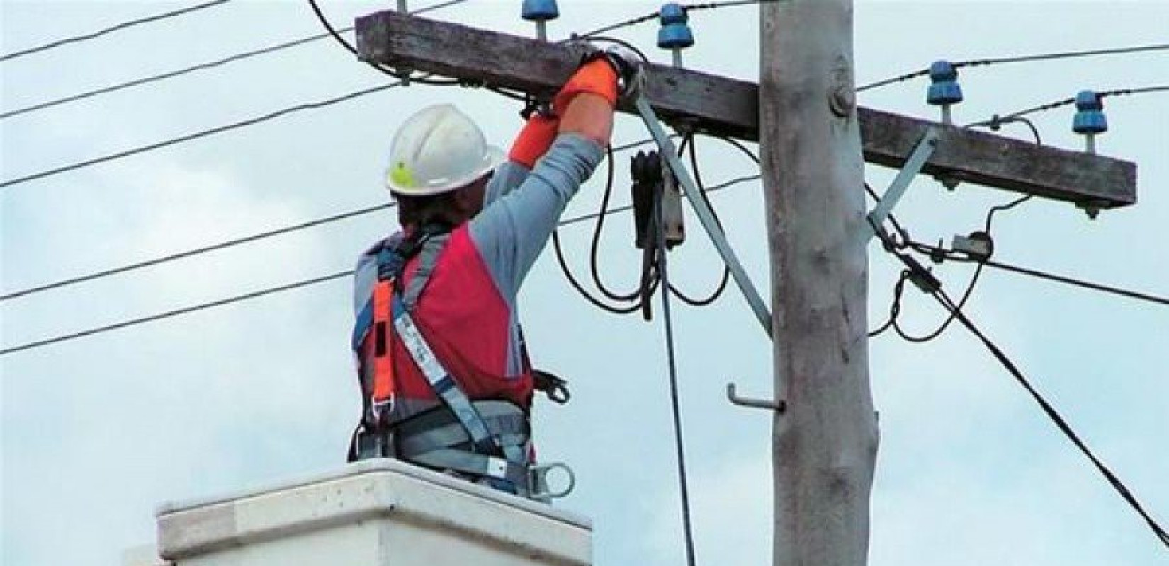 Λάρισα: Επανήλθε το ρεύμα μετά το πρωινό εκτεταμένο μπλακ ουτ - Ένα πτηνό πίσω από την διακοπή