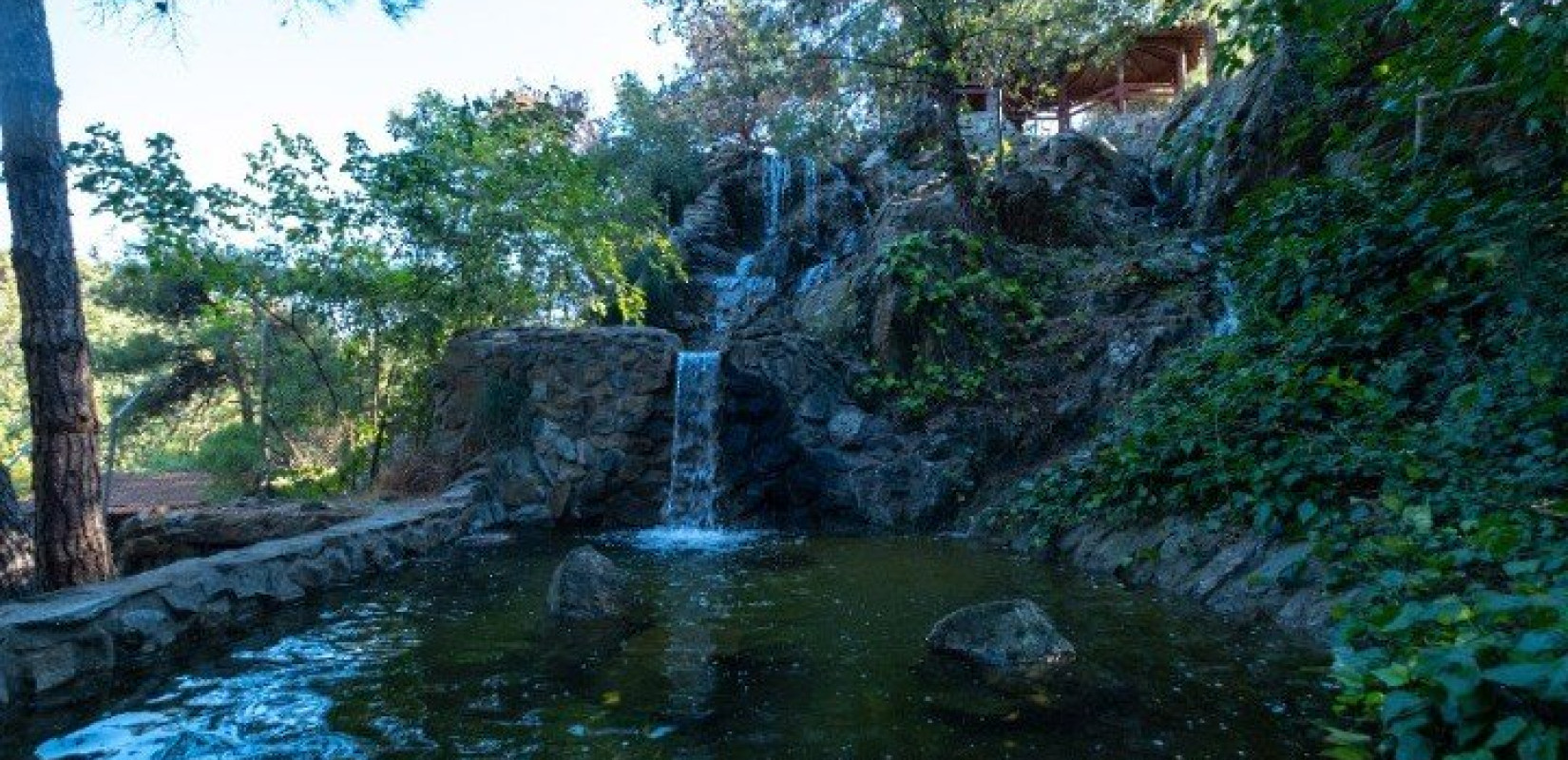 Θεσσαλονίκη: Άνοιξε τις πύλες του και πάλι ο ζωολογικός κήπος στον Κέδρινο Λόφο