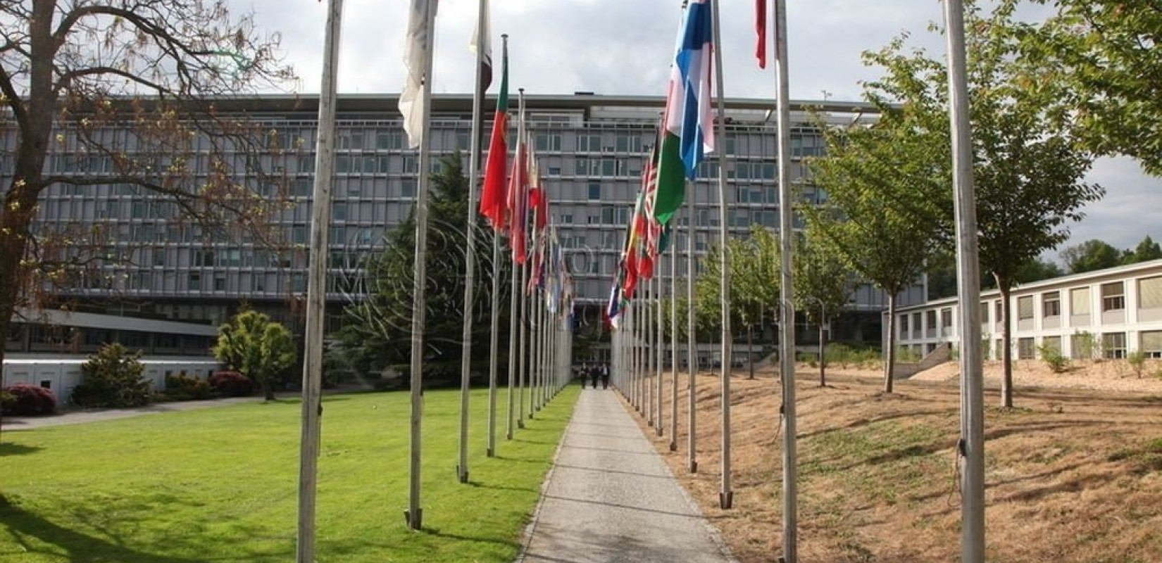 ΠΟΥ: Ο επικεφαλής του ζητάει από τα κράτη μέλη να εγκρίνουν τη συμφωνία κατά των πανδημιών