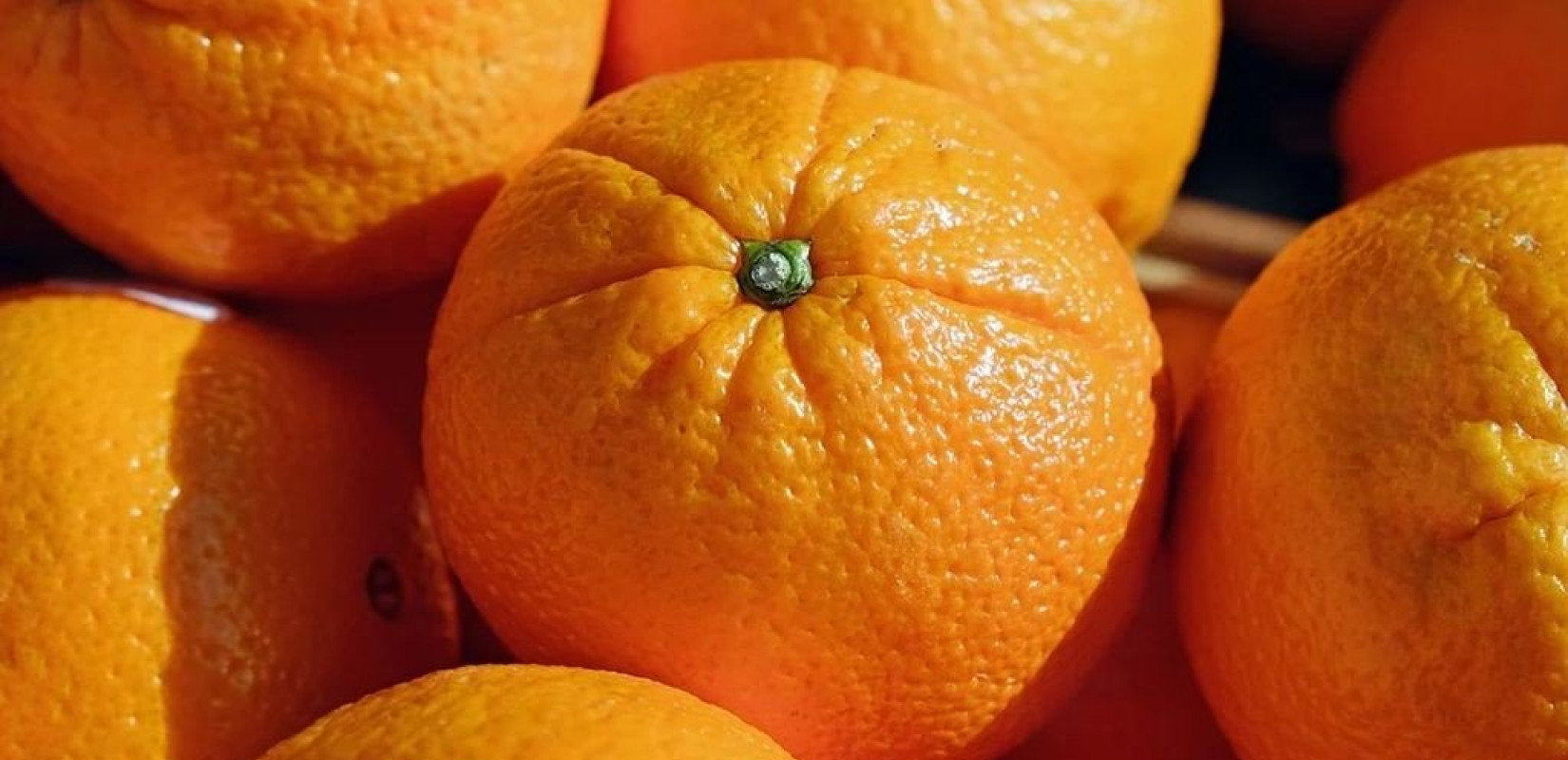 Εγκρίθηκε το βιολογικό πρόγραμμα καταπολέμησης παρασίτου που πλήττει τα εσπεριδοειδή