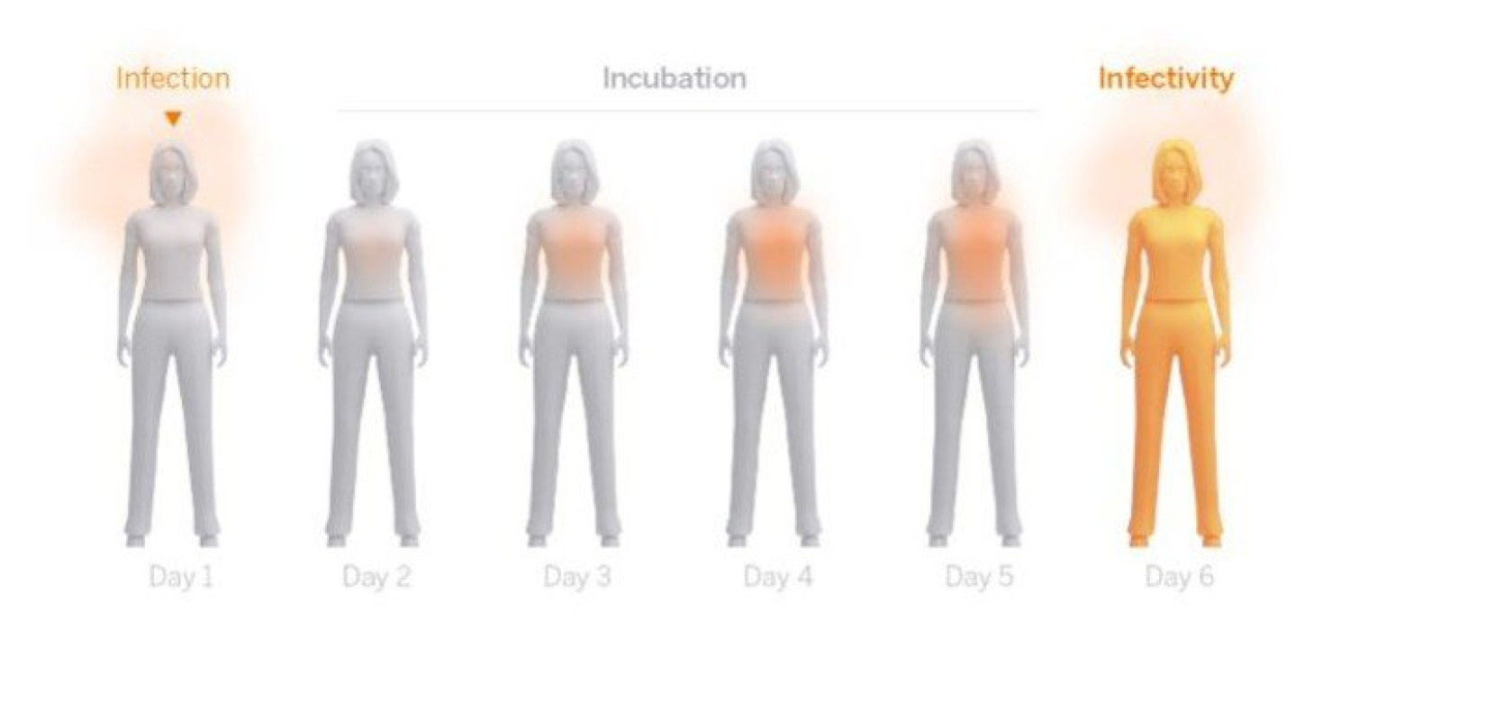 Πώς τα rapid tests ανακόπτουν την επέλαση του κορονοϊού (γραφήματα)