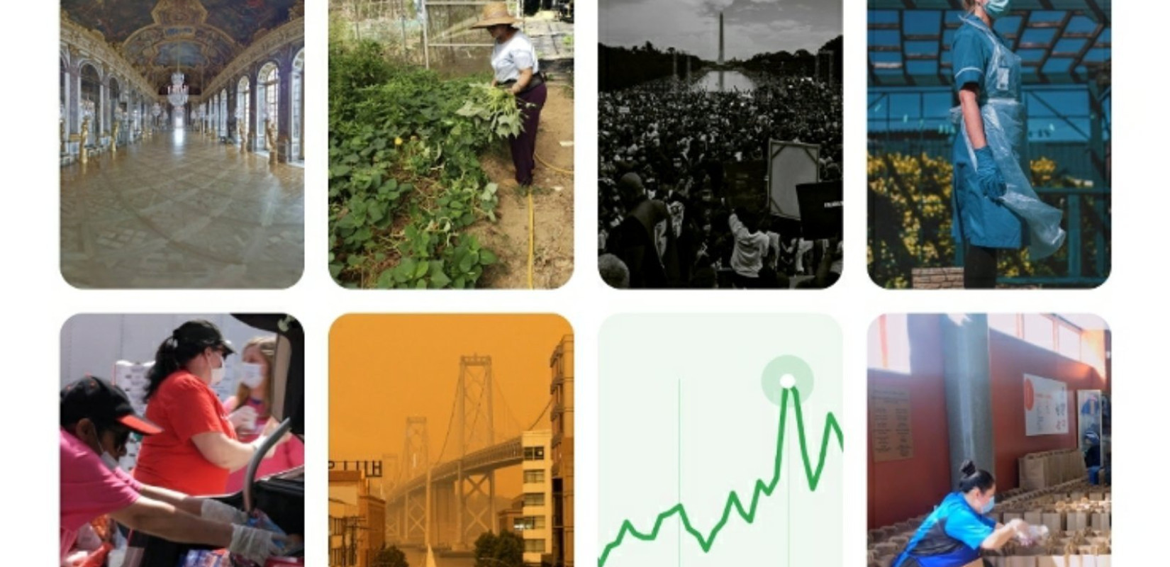 Google Year in Search 2020: Η χρονιά με τα περισσότερα «γιατί» (βίντεο)