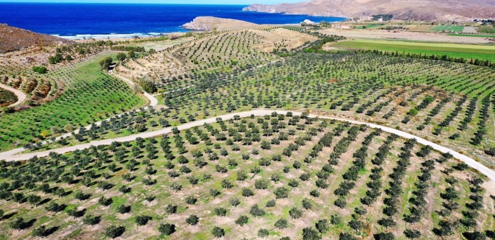 Τι είναι οι βιοδιεγέρτες που κεντρίζουν το ενδιαφέρον στην 29η Agrotica;