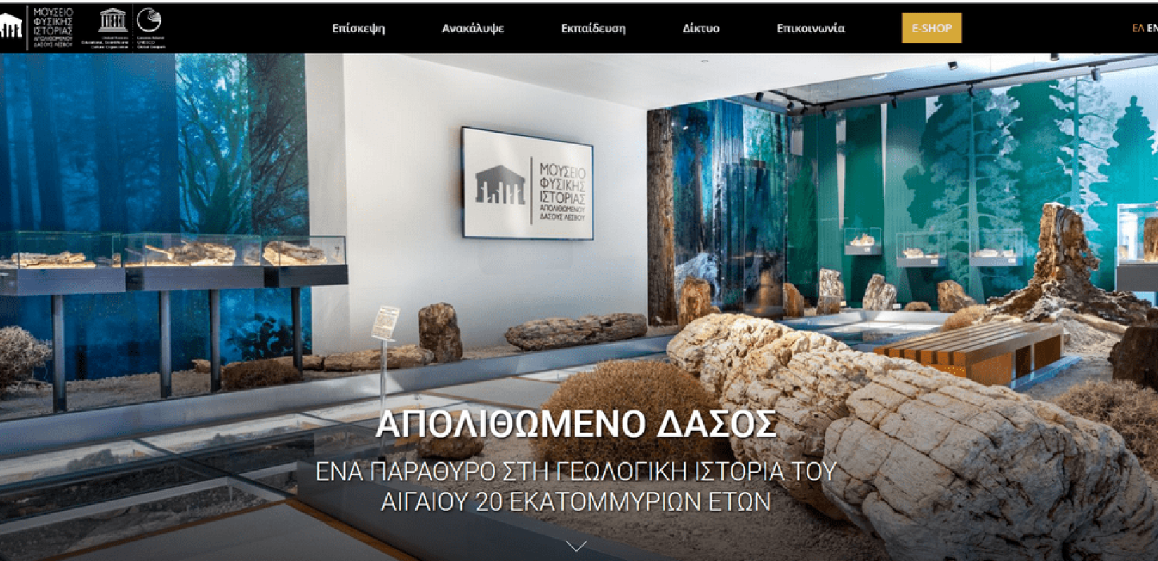 Μυτιλήνη: Υπαίθριο ανοικτό μουσείο με 15 θέσεις απολιθωμάτων στο δρόμο Άντισσας- Σιγρίου