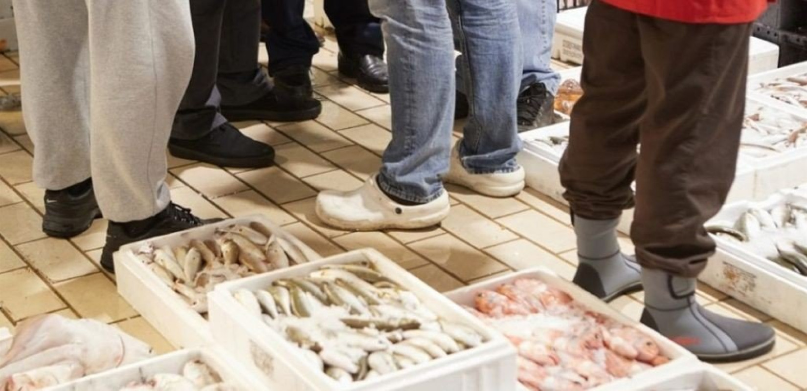 Εκατοντάδες κιλά τσιπούρας κατασχέθηκαν στην ιχθυόσκαλα της Ν. Μηχανιώνας