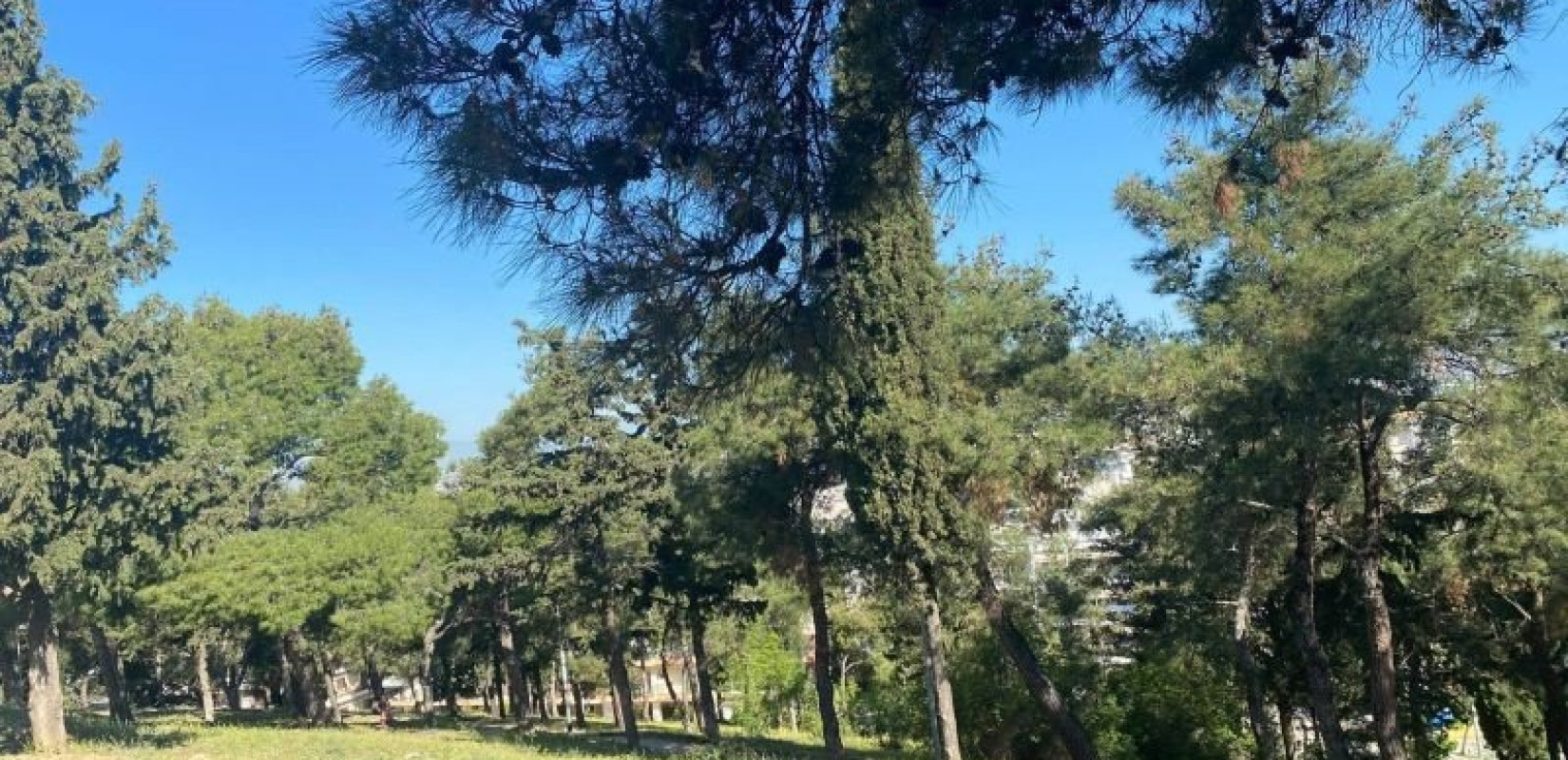 Απαγορεύσεις κυκλοφορίας αύριο για πεζούς και οχήματα σε Χαλκιδική, Πέλλα και Κιλκίς Απαγορεύσεις κυκλοφορίας αύριο για πεζούς και οχήματα σε Χαλκιδική, Πέλλα και Κιλκίς