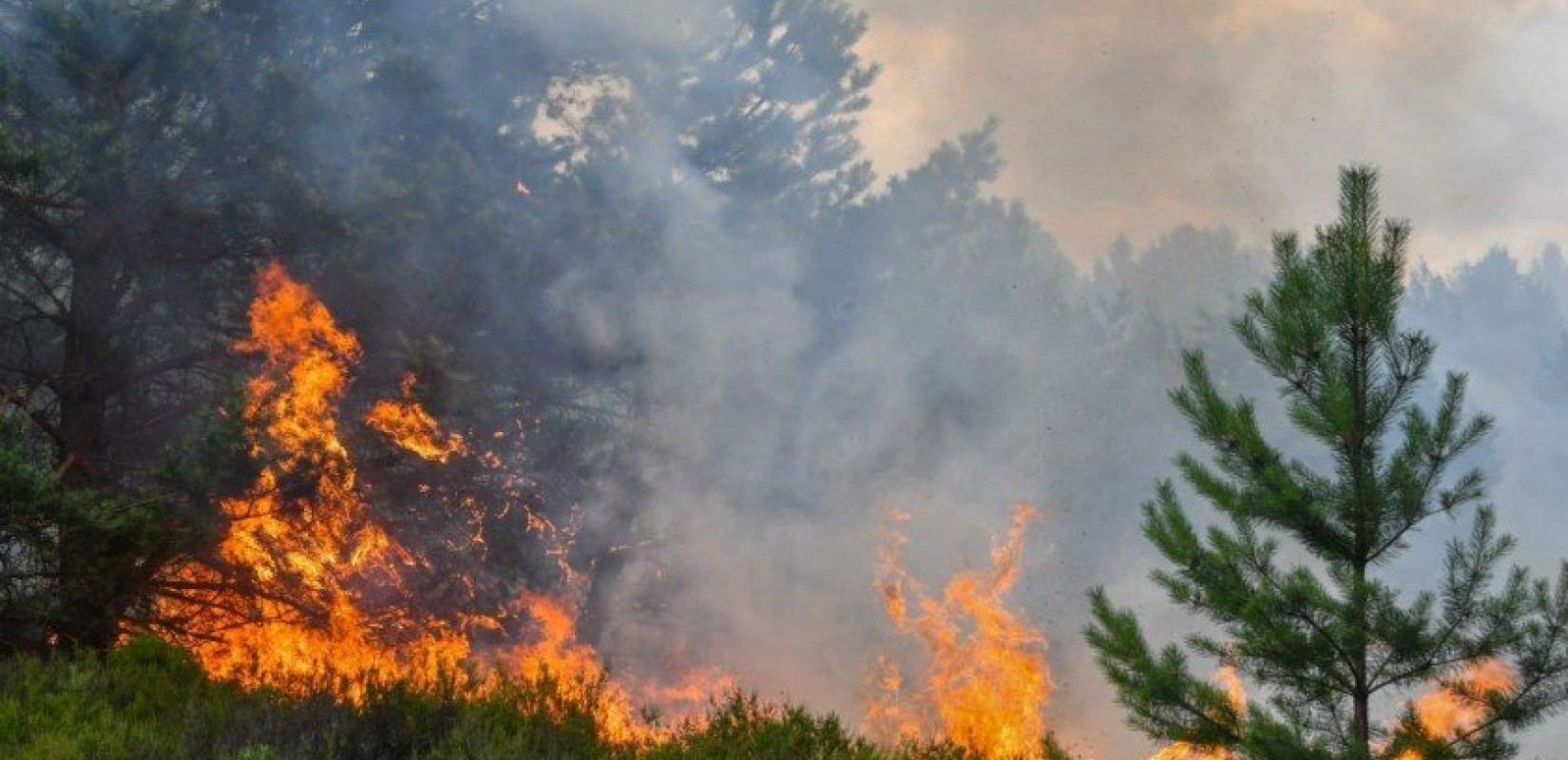 Μεγάλη φωτιά στα Γρεβενά: Μαίνεται ανεξέλεγκτη μεταξύ Πενταλόφου και Δοτσικού