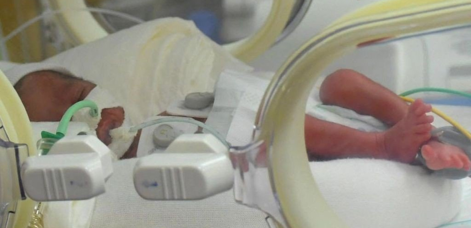 Μαλί: Ενάμιση χρόνο μετά τη γέννησή τους, εννιάδυμα επέστρεψαν από το Μαρόκο