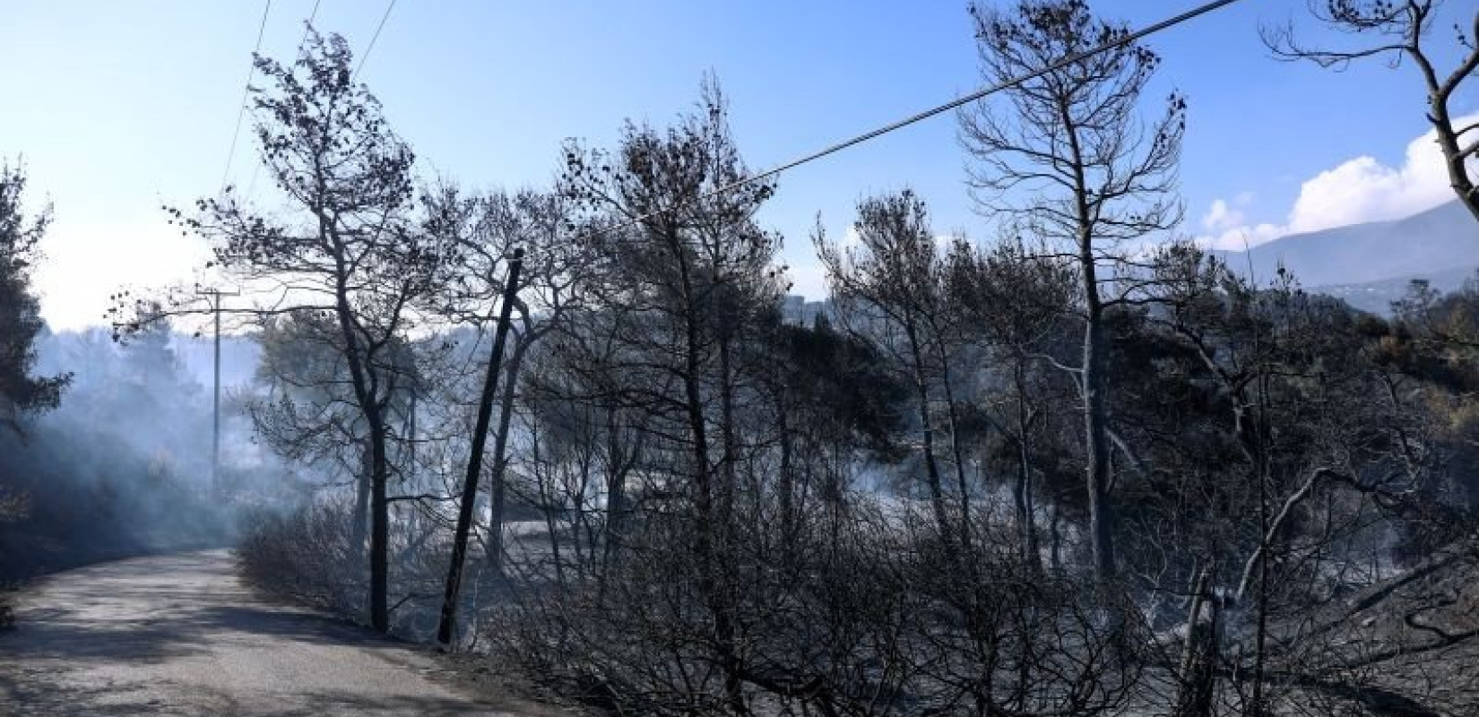 Γεράνεια Όρη: Να κηρυχτεί άμεσα αναδασωτέα η περιοχή ζητά το Περιφερειακό Συμβούλιο Αττικής