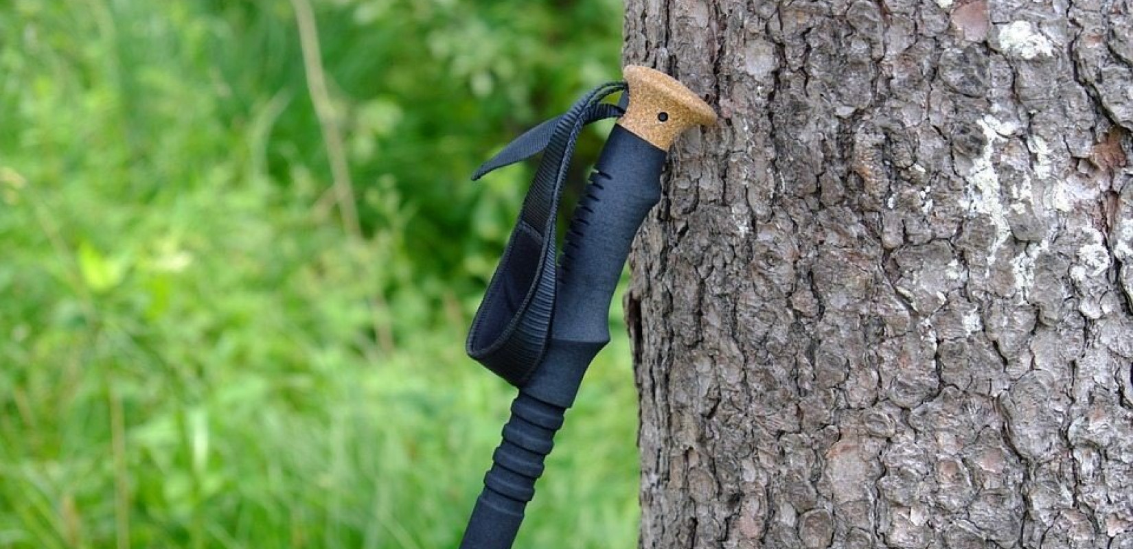 Φοιτήτριες του ΟΠΑ δημιούργησαν "έξυπνο" μπατόν πεζοπορίας -και διεκδικούν διάκριση