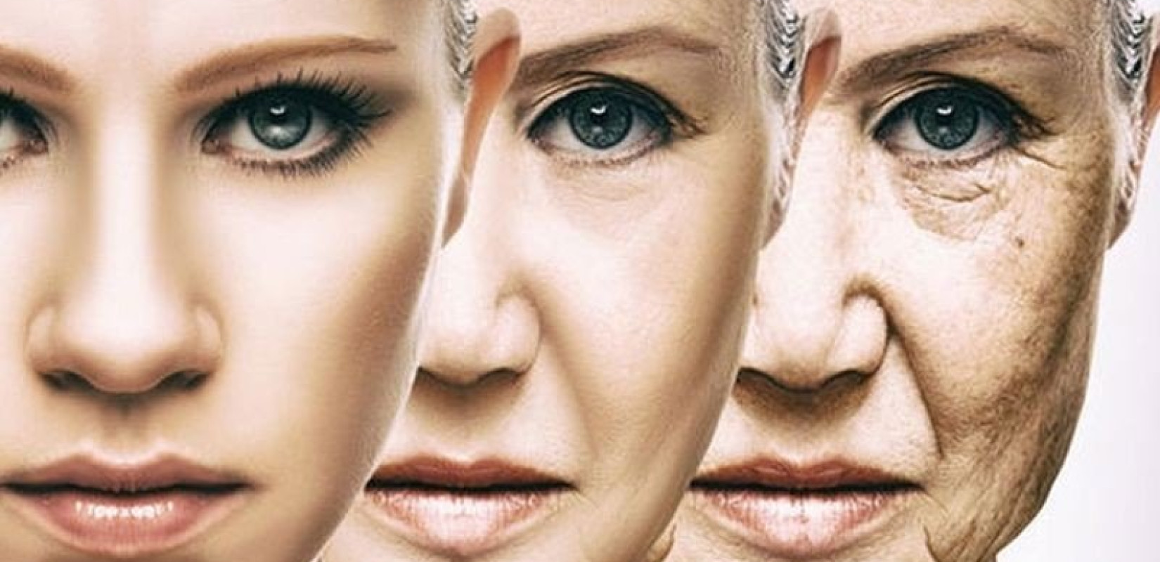 Στο «φως» νέος μοριακός μηχανισμός που ρυθμίζει τη γήρανση και την αναπαραγωγή 