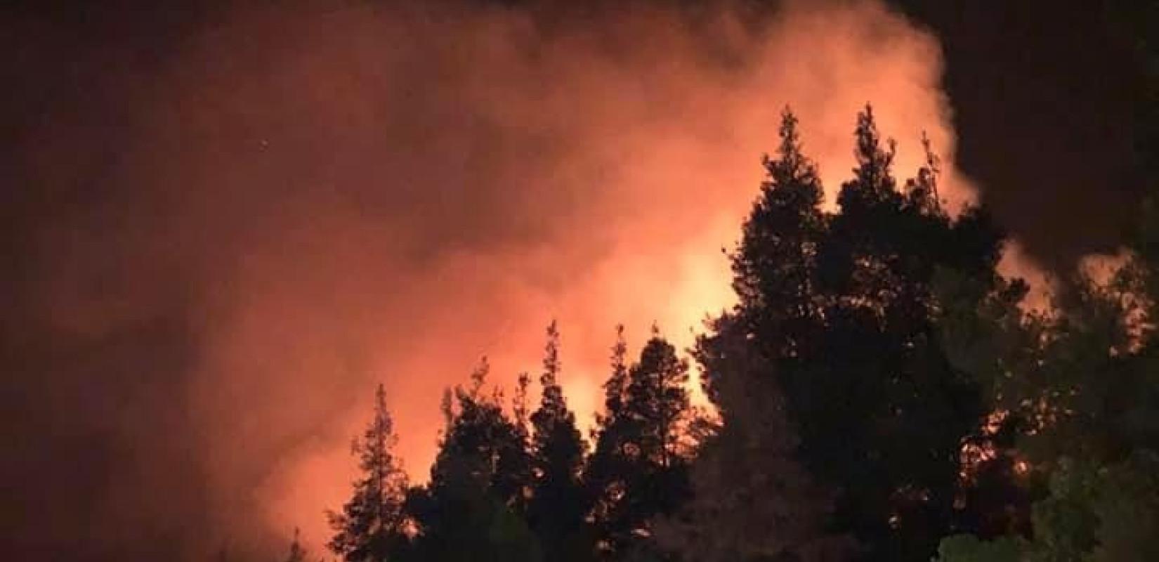 Ευγνώμων σε Ιταλία και Ελλάδα για τη βοήθειά τους στη φωτιά της Κύπρου δηλώνει ο Επίτροπος Διαχείρισης Κρίσεων της ΕΕ