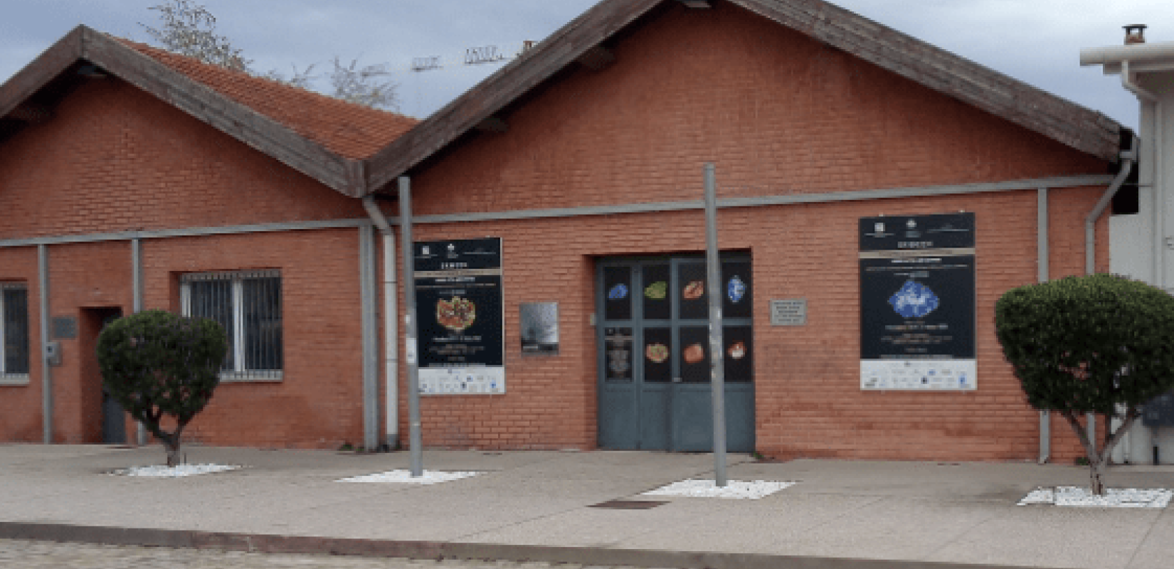 Αριστοτέλειο Μουσείο Φυσικής Ιστορίας. Ο προβληματισμός και οι προσπάθειες χωρίς αντίκρισμα για το μέλλον του