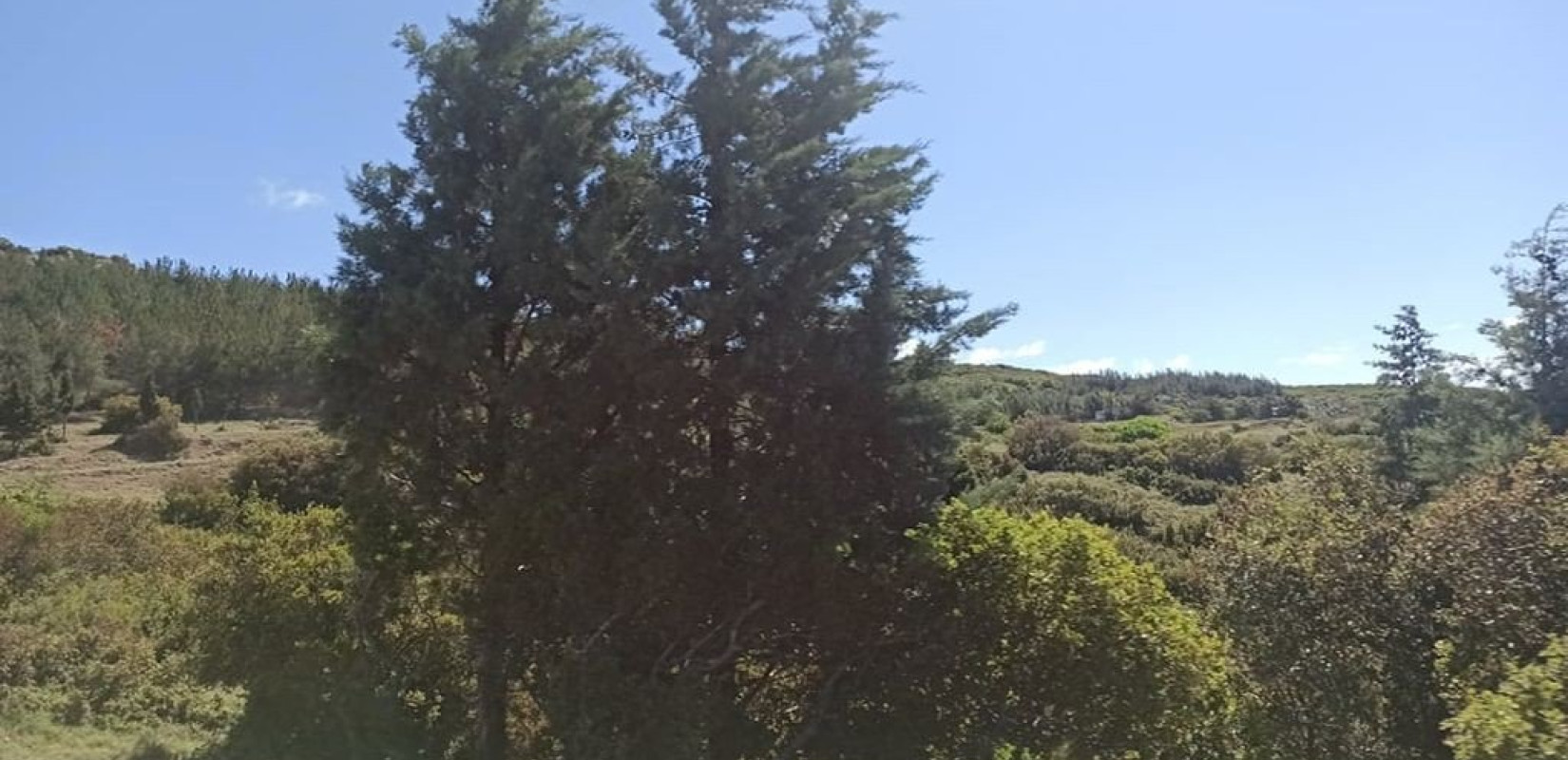 Κερδύλια Όρη: Θρίλερ με τον θάνατο 51χρονου - Τον άφησαν να τον κατασπαράξουν άγρια ζώα (βίντεο)