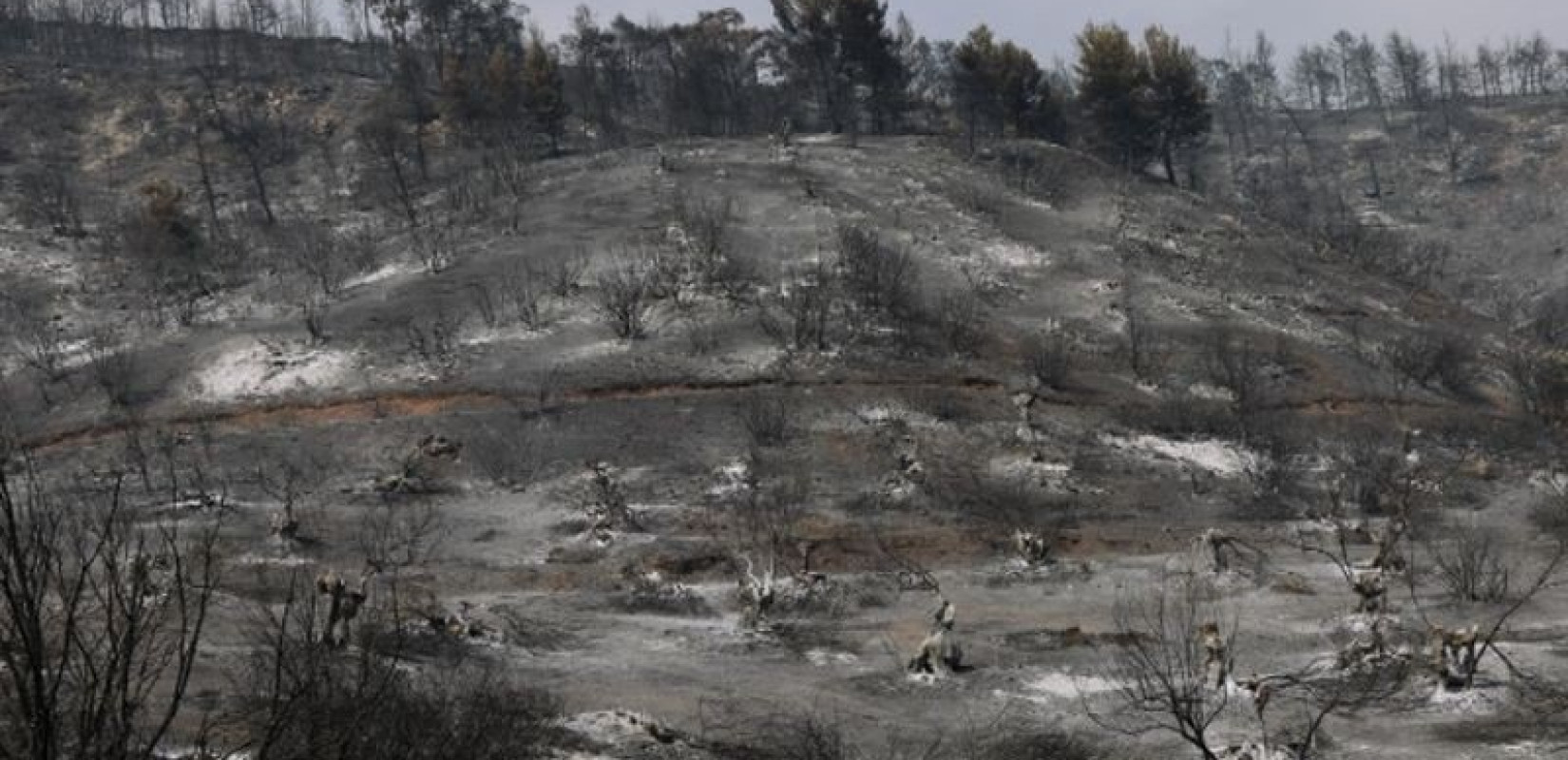 Πιέρια Όρη: Καλύτερη εικόνα στο πύρινο μέτωπο - Τι λέει ο δασάρχης Πιερίας (βίντεο)