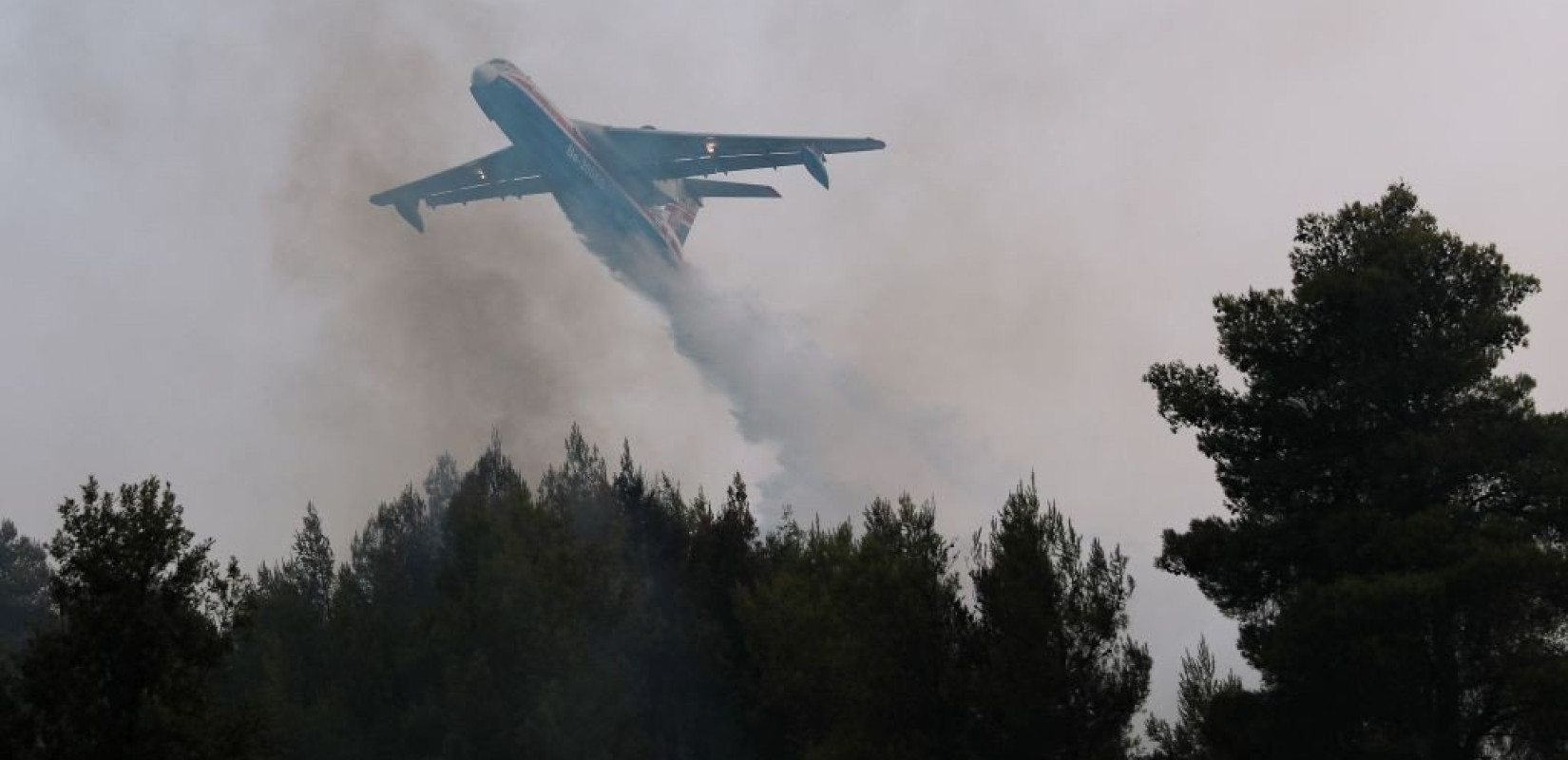Πέλλα: Καλύτερη η εικόνα στη δασική φωτιά στη Σκύδρα