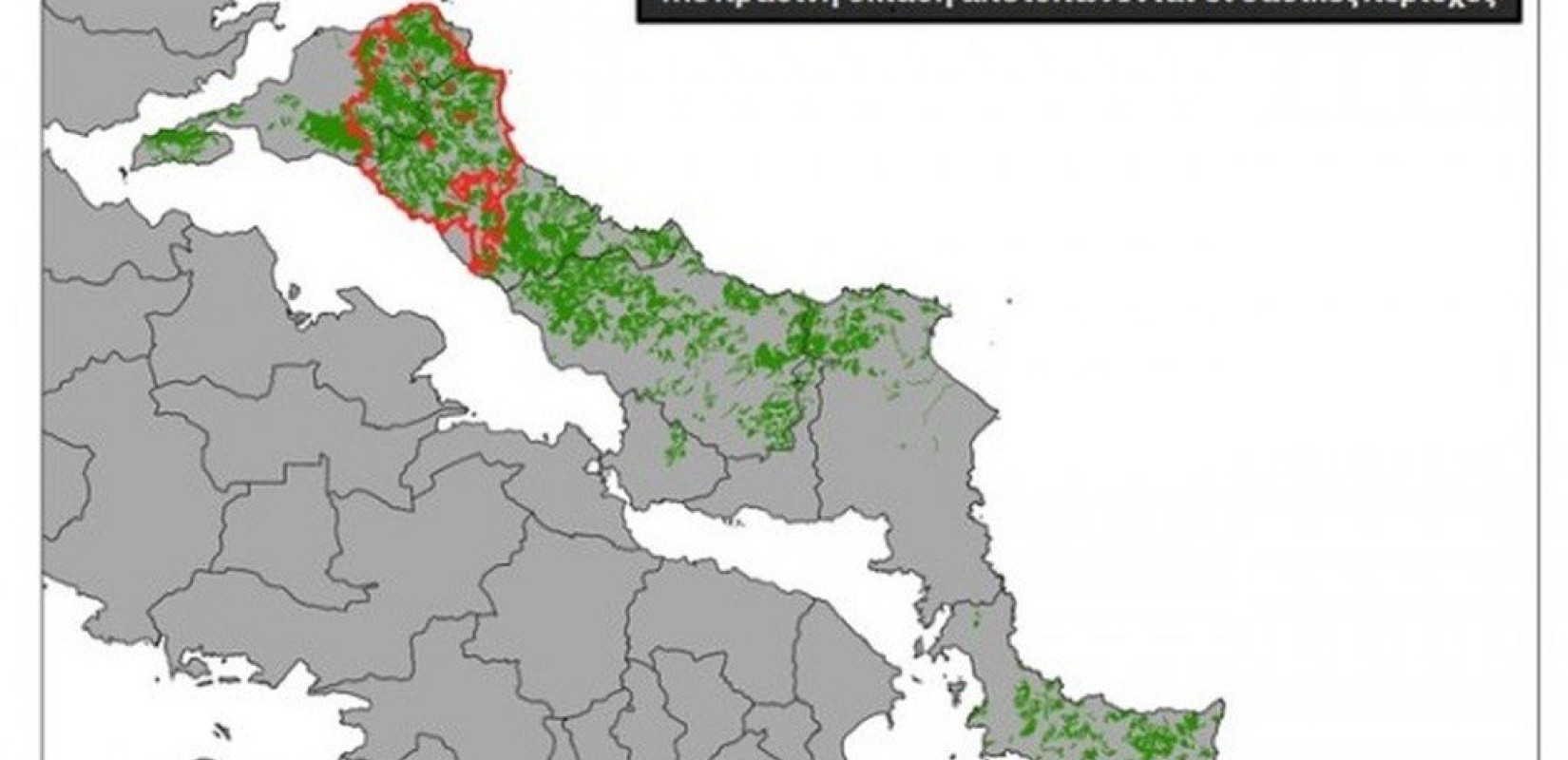 Tεράστιας έκτασης η οικολογική καταστροφή στην Εύβοια - Κάηκε το 1/3 των δασών