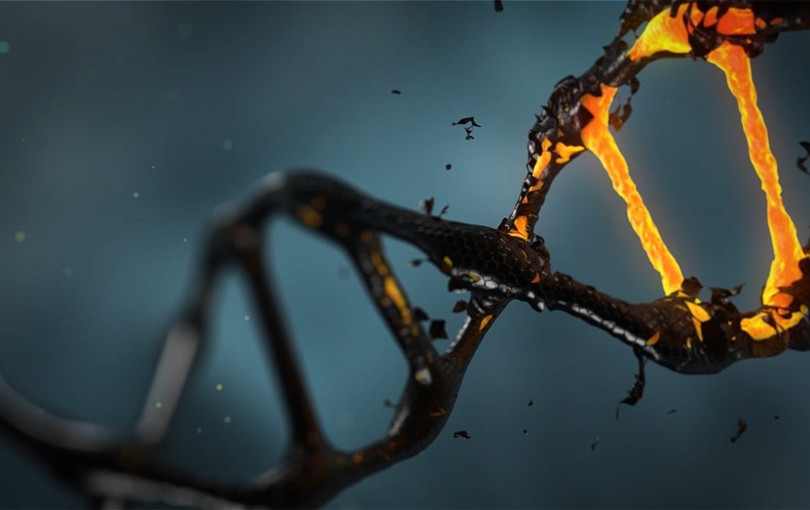 ΑΠΘ: Μαθητές Λυκείου γνωρίζουν το DNA μέσα από εργαστήρια Βιολογίας - Διήμερη εκπαιδευτική δράση στη Θεσσαλονίκη