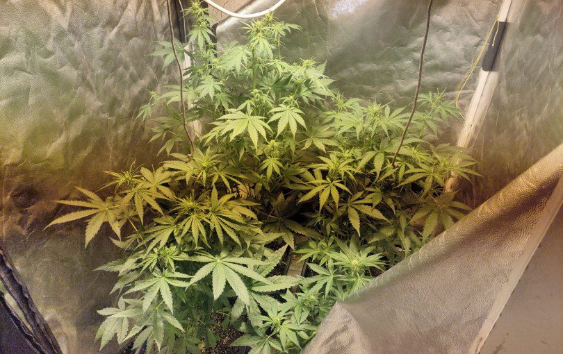 Στο νοσοκομείο μαθητής από τη Θεσσαλονίκη: Κατανάλωσε προϊόντα κάνναβης - Τρεις συλλήψεις και πειθαρχική έρευνα