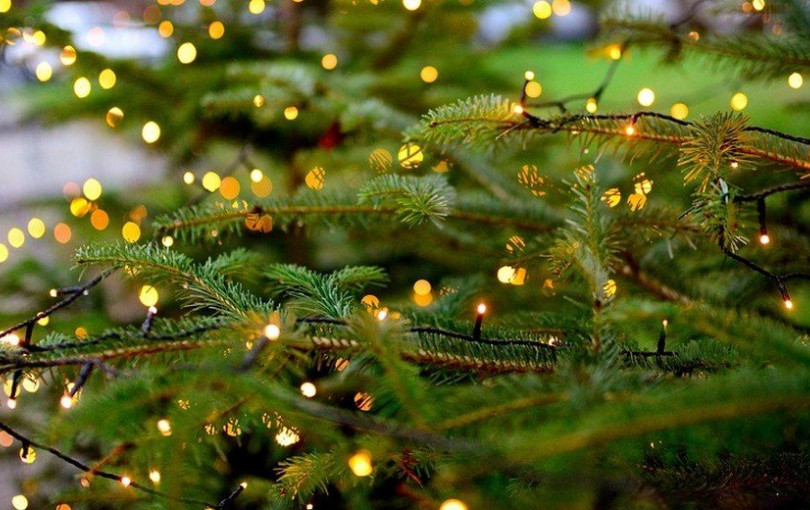 Χαλκιδική: Αναβολή φωταγωγήσης δέντρων σε Ορμύλια και Γαλάτιστα