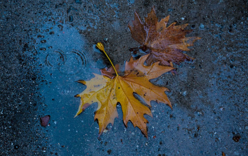 Αναβολή φωταγώγησης χριστουγεννιάτικων δέντρων σε Φίλυρο και Ασβεστοχώρι