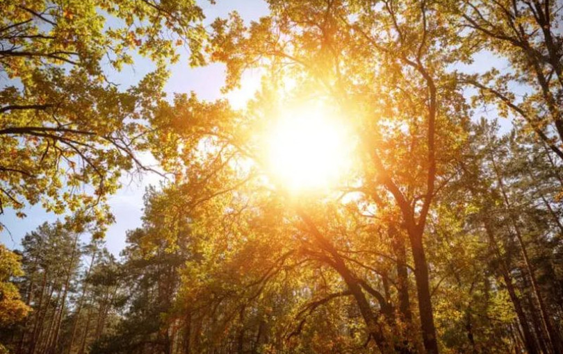 Θερμοκρασίες πάνω από τα κανονικά επίπεδα αναμένονται τον Φεβρουάριο στην Ελλάδα