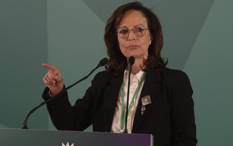 Άννα Διαμαντοπούλου: «Να μην γίνουμε Καρυστιανού ή Κωνσταντοπούλου»